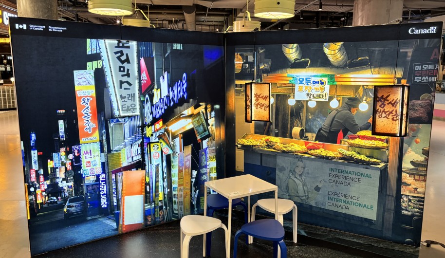 Board and governance practices